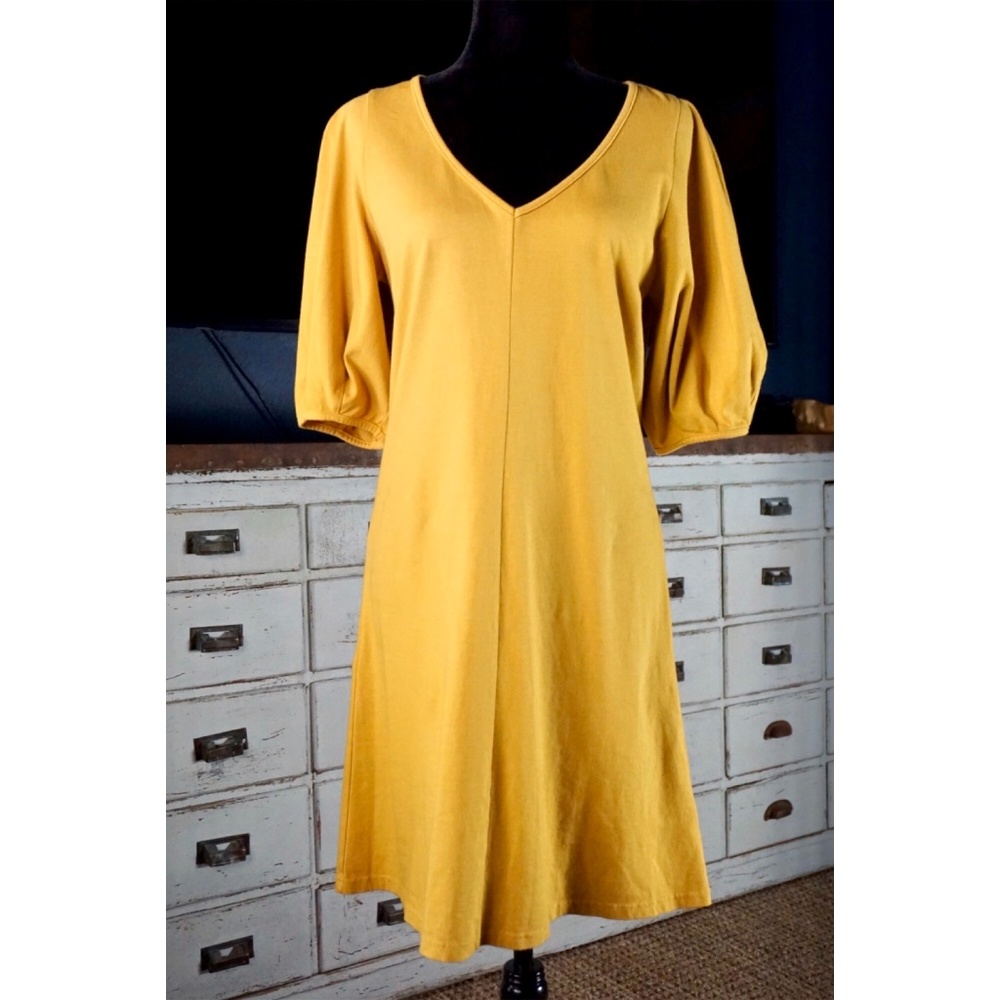 Anthropologie Front Seamed Dress NWOT